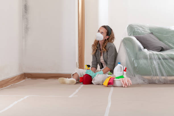 Reliable Commercial Mold Remediation contractor in Woodville, TX by WQB Mold Removal